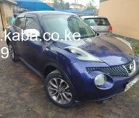 nissan-juke-kdg-year-2014-small-1
