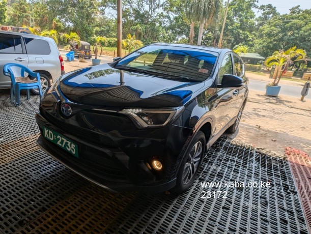 toyota-rav4-big-6