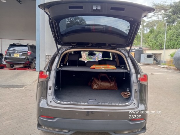 2015-lexus-nx-for-sale-big-7
