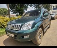 landcruiser-prado-diesel-small-4
