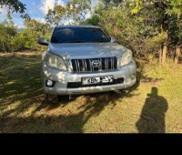 landcruiser-prado-local-small-0