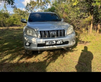 Landcruiser prado local