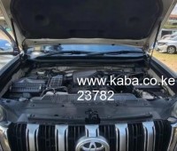 toyota-prado-small-8