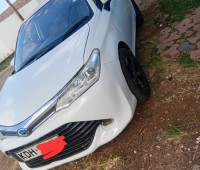 toyota-axio-2014-small-0