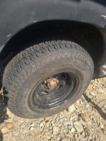 toyota-land-cruiser-80-series-big-8