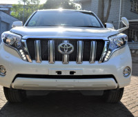 2013-toyota-land-cruiser-prado-small-4