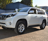 2013-toyota-land-cruiser-prado-small-3