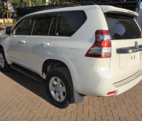 2013-toyota-land-cruiser-prado-small-1