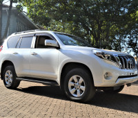 2013-toyota-land-cruiser-prado-small-0